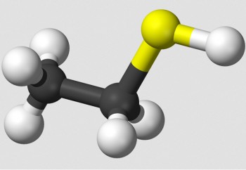 Соединения серы: меркаптаны, тиоэфиры, сульфокислоты и другие.